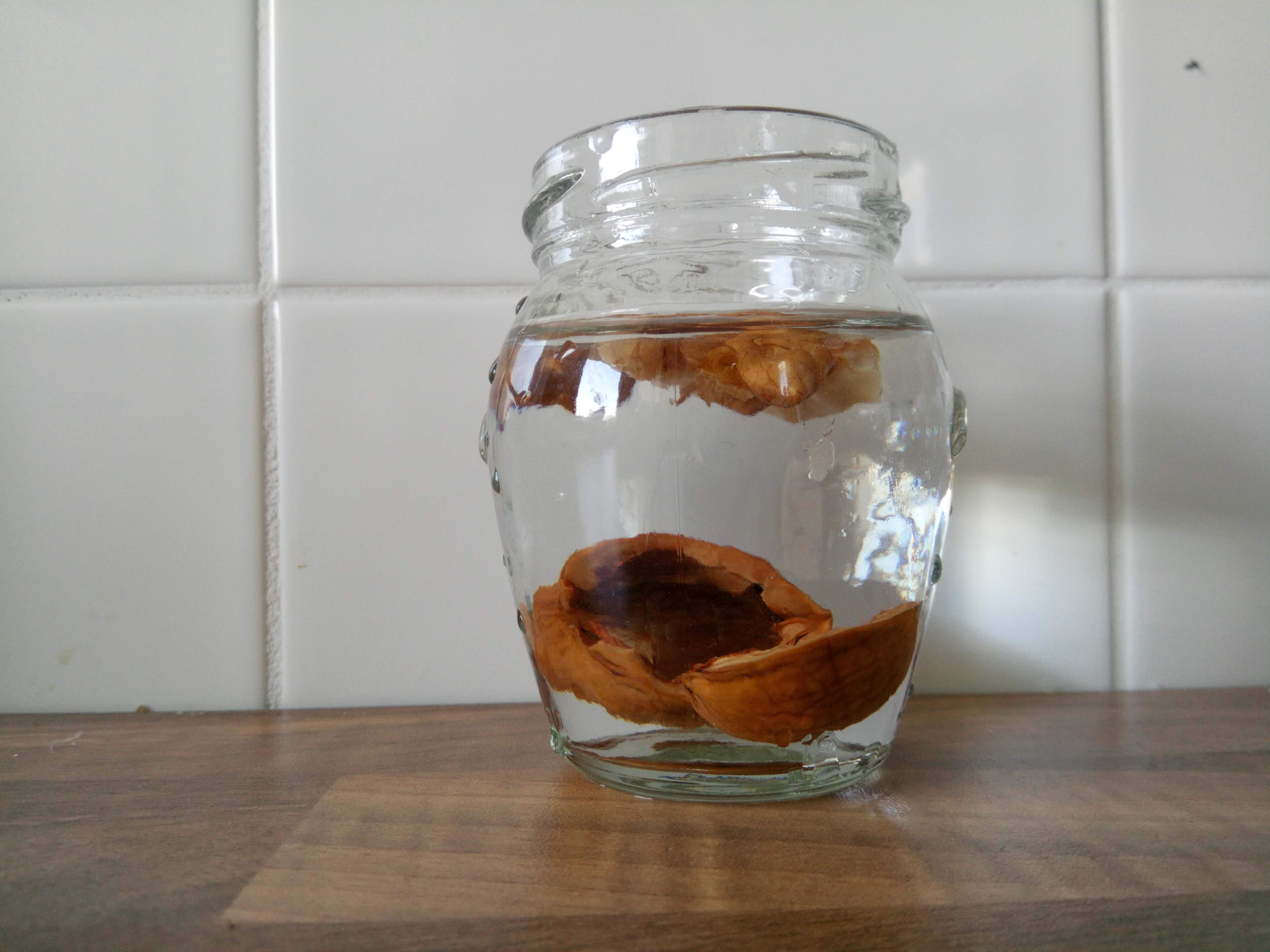 Druhý orech vo vode